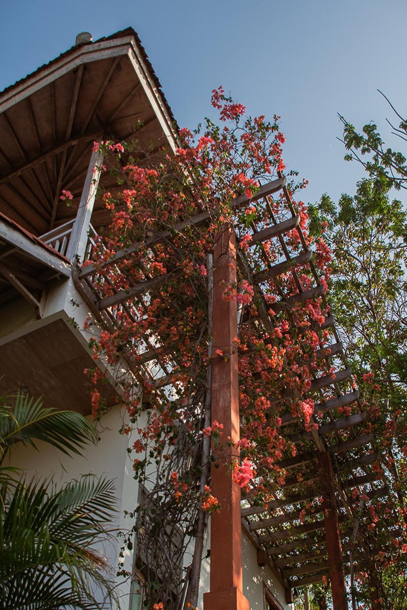 Bangsring Breeze Hotel บันยูวังงี ภายนอก รูปภาพ